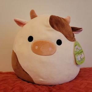 12" Ronnie Squishmallow